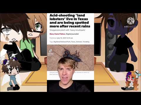 Aftons react to scary TikToks (videos not mine)