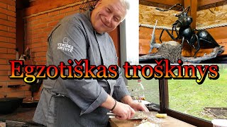 Egzotiškas ėrienos troškinys