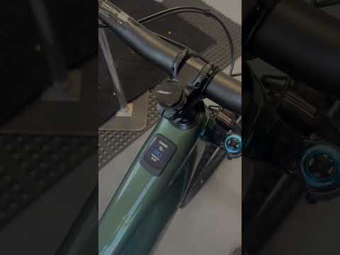New Specialized Levo