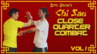 Wing Chun Sticky Hands Tutorials & Chi Sau Drills screenshot 4