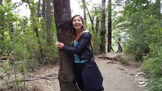 LA VERDADERA ENTRADA A HUILO HUILO Patagonia Araucania Chilena
