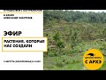 Детский эфир "Растения, которые нас создали" в рамках рубрики "Путешествия с натуралистом"