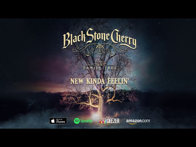 Black Stone Cherry - New Kinda Feelin'