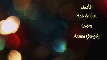 Тафсир ас Саади сура 6 Аль Ан ам