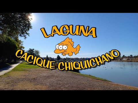 laguna CACIQUE CHIQUICHANO🐤🕊