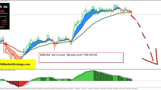 #NZDCAD   why it will crash 200 pips ?