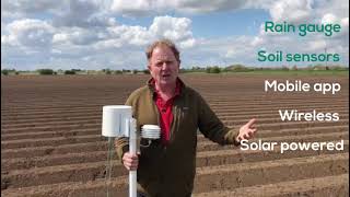 Benefits of LoRain sensor for irrigation scheduling in potatoes screenshot 5