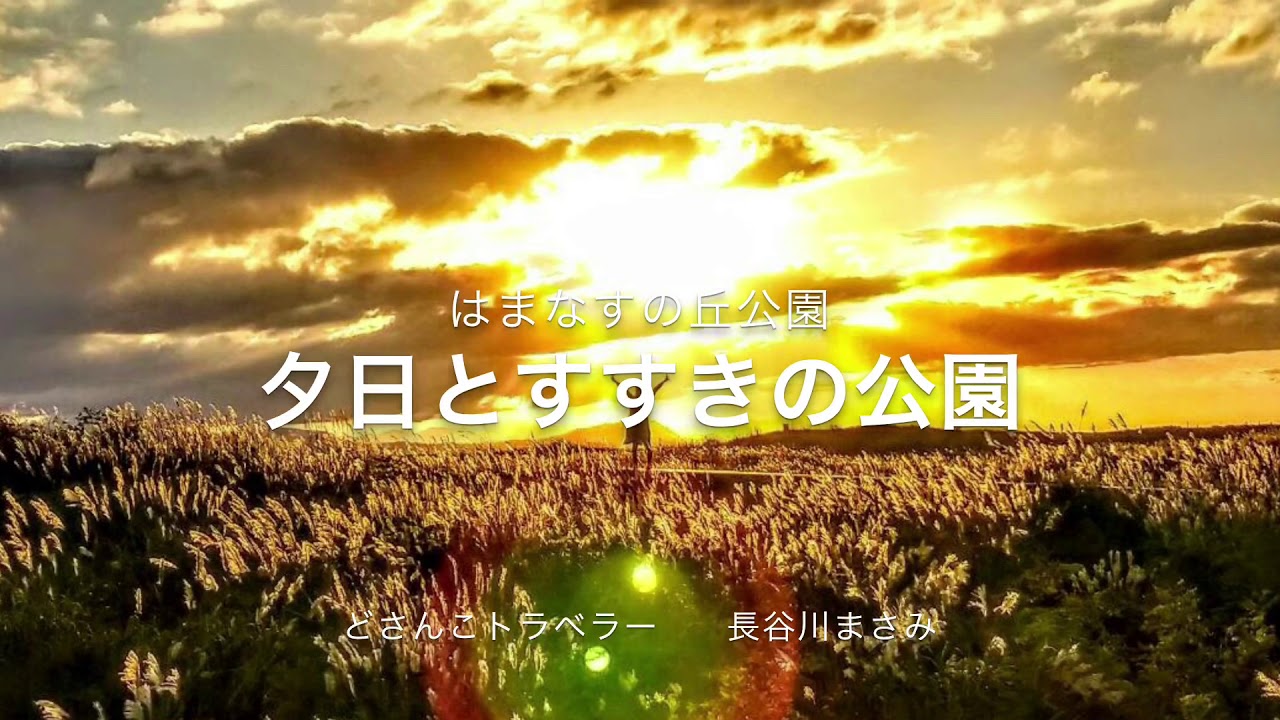 夕日とすすきの公園 はまなすの丘公園 Youtube