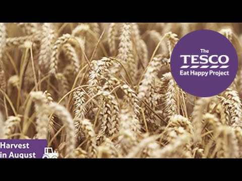 Video: What Is Made From Grain