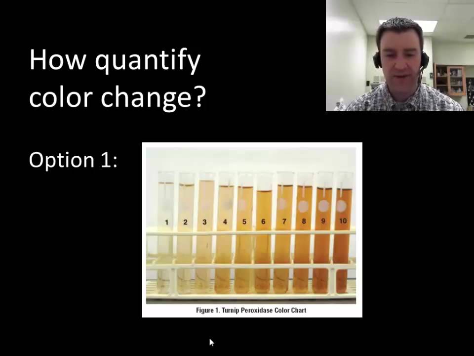 Investigation 13 Enzyme Catalysis with Colorimeters YouTube investigation-13-enzyme-catalysis-with-colorimeters-youtube