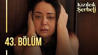 Kızılcık Şerbeti 43. Bölüm @showtv