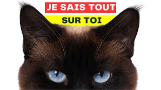 10 Secrets Que Les Chats Savent Sur Vous by HistoireDesAnimaux 871 views 3 months ago 4 minutes, 4 seconds