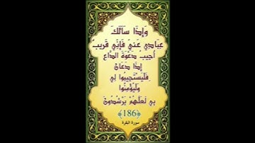 تعليم سورة البقرة آية د جمال القرش (1)