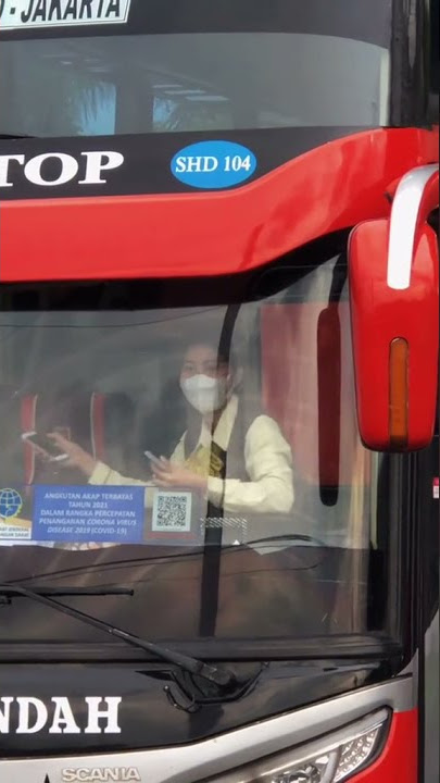 #storywa story wa Pramugari cantik bus 'Rosalia indah' #pramugarirosaliaindah