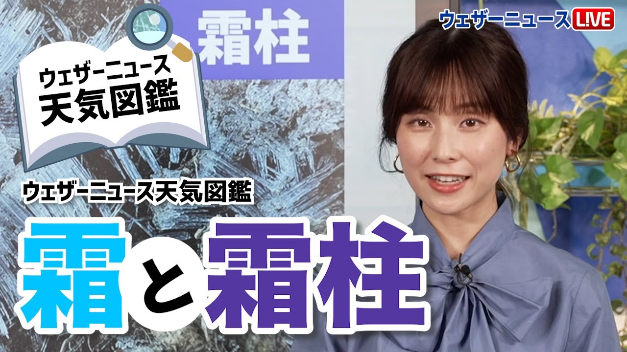 【冬の現象】霜と霜柱の違いとは？ #ウェザーニュース天気図鑑 #冬