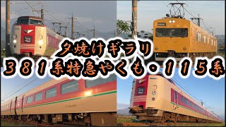 夕焼けにギラり　381系特急やくもと115系通過