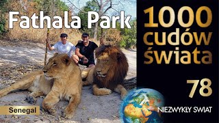 1000 cudów świata - Fathala Park - Senegal - 4K