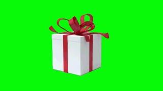 Green Screen Gift Box / Chroma Key