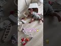 【8ヶ月】赤ちゃんて静かな時こそ何かやらかしてる😂 #あかちゃん #子ども #赤ちゃん #かわいい #baby #子供 #shorts