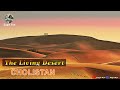 Cholistan  the living desert  vlog  eagle eye traveller 