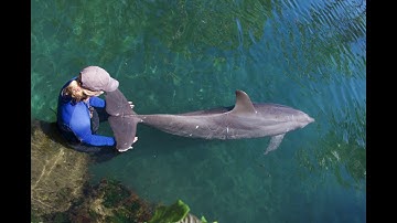 HIMB Applying Innovative Technologies in Marine Science