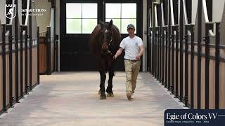 Egie of Colors - Walk