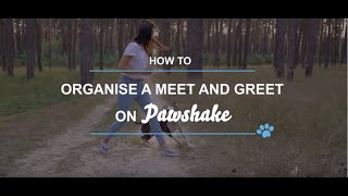 How to organise a meet and greet on Pawshake screenshot 4