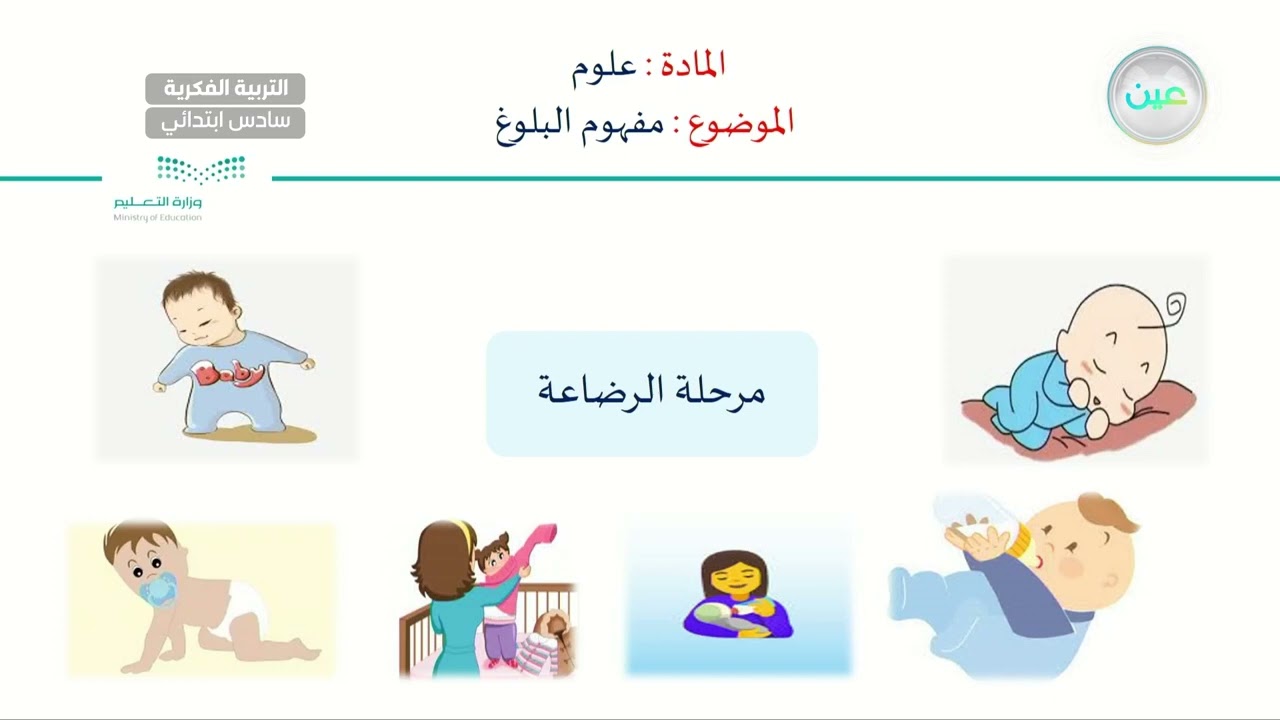 مفهوم البلوغ (3-5-7) - العلوم - سادس ابتدائي فكري 6