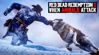 The MOST VICIOUS Animal ATTACKS in RDR2