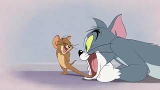 Мульт Tom and Jerry Tales S01 Ep07 Way Off Broadway Screen 01