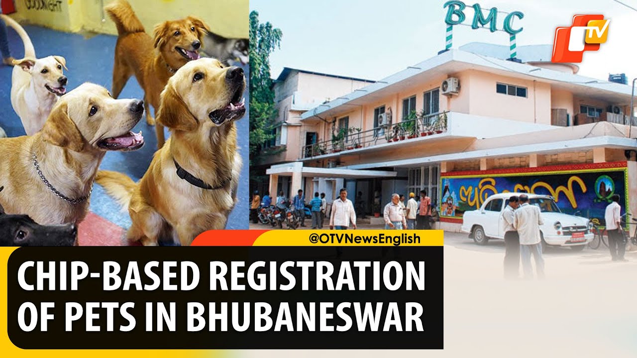 Pet Dog Guidelines In Bhubaneswar BMC Mayor Says ChipBased