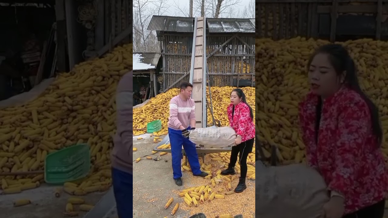 Funny videos 😂😂