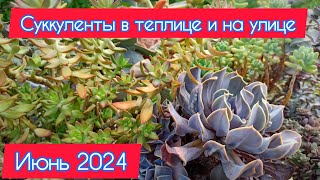 :       . 15  2024
