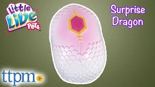Little Live Pets Surprise Dragon from Moose Toys Little Live Pets Surprise Dragon from Moose Toys