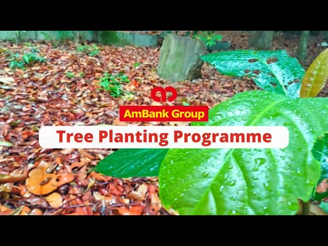 AmBank Group Tree Planting Programme