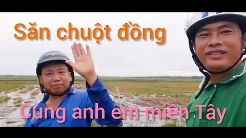 đi săn bắt chuột đồng cung anh em miên tây .vănsymiêntây.