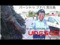 UNESCO Intangible Cultural Heritage Policeman full of mud パーントゥプナハ宮古島 documentary film