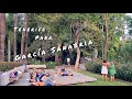 🌍 Tenerife. Santa Cruz. Park García Sanabria. Spain. 4K