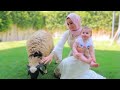 فاجأت شهد وميرا بخروف العيد🐏(مفاجأة العيد🎉)