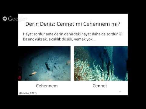 Download 27. Konuşma: "Mikrobiyal Oşinografi: Gizli Çoğunluğun Sesi" Burak Mp3 and Video 27. Konuşma: "Mikrobiyal Oşinografi: Gizli Çoğunluğun Sesi" Burak