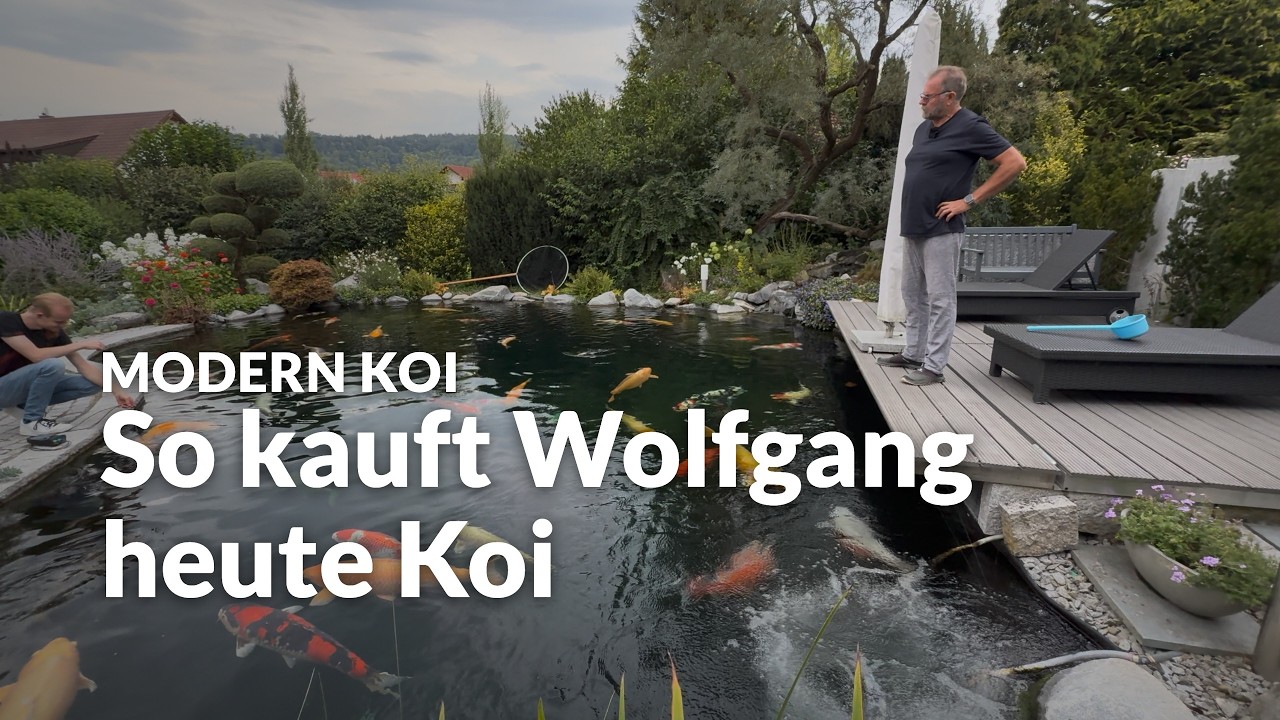 Wolfgangs 100.000-Liter-Teich mit rund 50 Jumbo Koi | Modern Koi Blog #8247