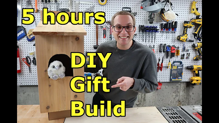 Build a Cedar Owl House in 5 hours! Basic DIY woodworking project