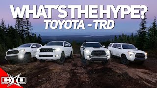 TRD || What's the Hype?
