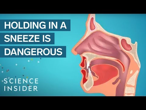 Is Holding In A Sneeze Actually Unhealthy?