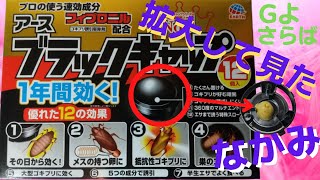 【顕微鏡】ブラックキャップの中身を見てみた