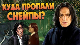 Что стало с родителями Северуса Снейпа? Гарри Поттер теория