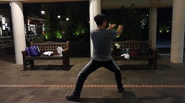 World Chen Style Hunyuan Taiji practice session (24-form opening moves) 5 June 2017