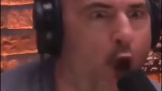 Joe Loses his Cool and Becomes a Gorilla - Joe Rogan gets Excited and Transforms into a Gorilla!