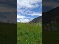 Дин радуется красоте Альп