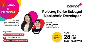Peluang Karier Sebagai Blockchain Developer